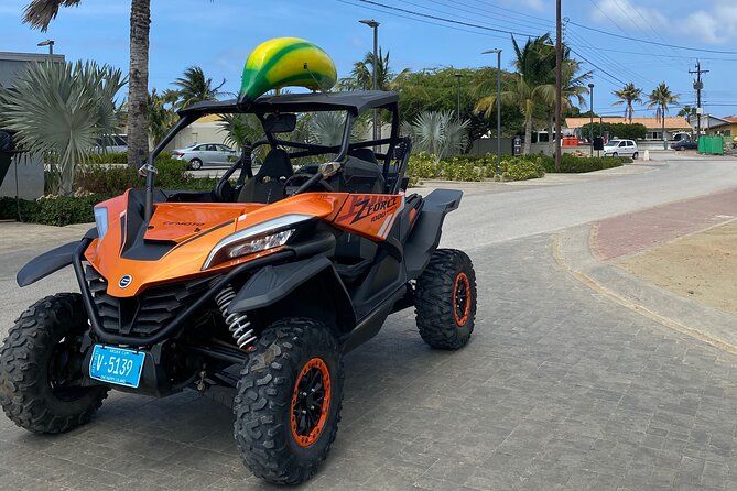 Action-Packed Half Day Aruba UTV Tour and Arashi Beach