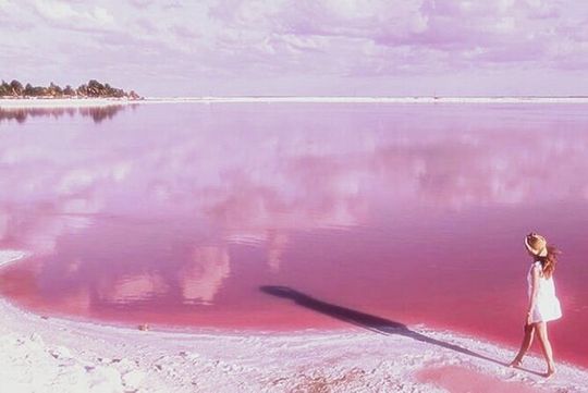 Tour Coloradas and Rio Lagarto