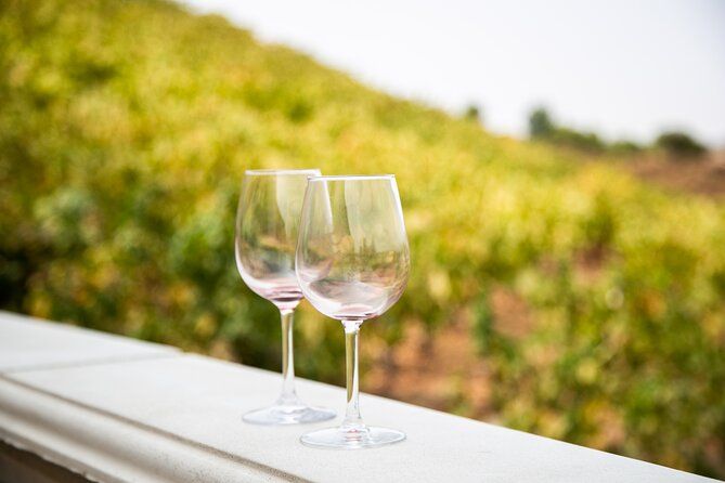 Temecula Wine Tour from Orange County