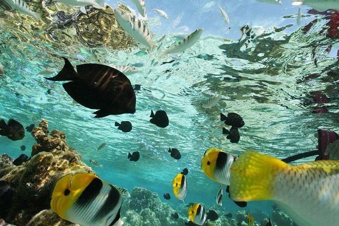 snorkeling adventure