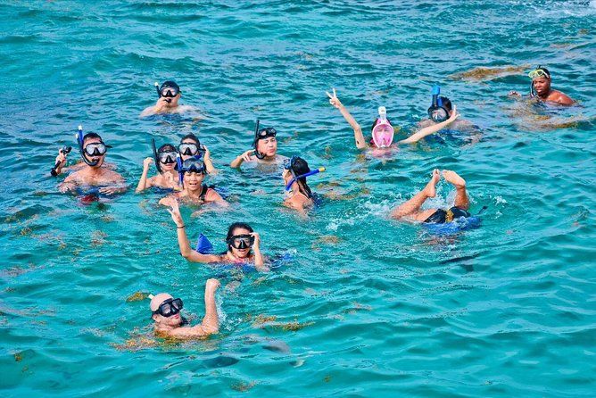Catalina Island & Snorkling Tour Full Day All Inclusive