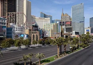 Private Departure Transfer to Las Vegas Airport (LAS)
