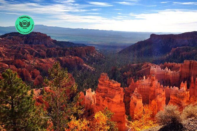 Yellowstone Rocky Mountain and California Desert 11 Day Explorer