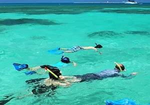 Snorkeling Water Private Activity In Montego Bay Jamaica