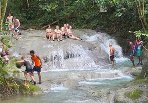 Mayfield Falls Tour with Lunch, drink, Entry & Transp(Original)