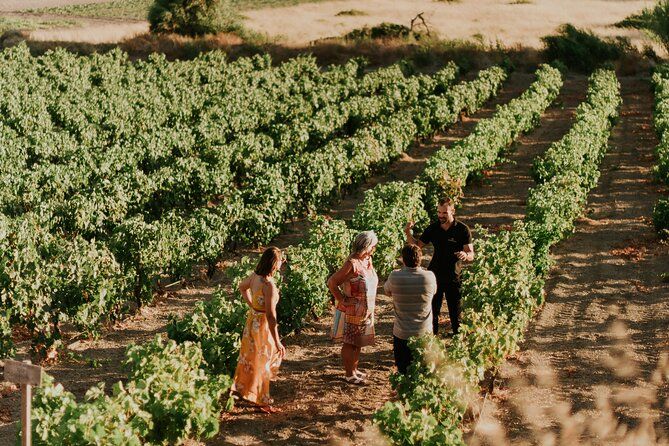 Kostantakis Winery - Milos Island Tour & Wine Tasting Experience