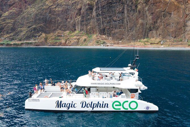 Eco-Friendly Catamaran Dolphin and Whale Watching