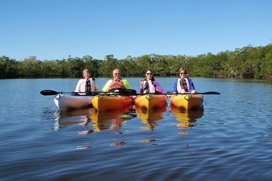 Full Day Kayak or SUP Rental (8hr) - Bunche Beach