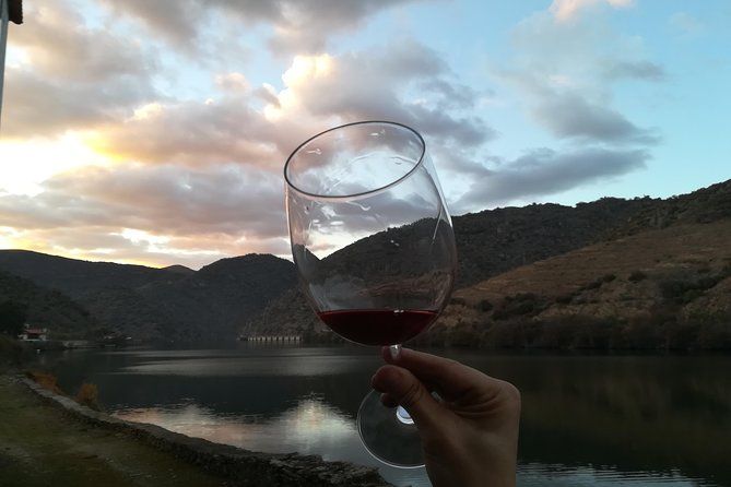 Full-Day Porto and Douro Valley Private Wine Tour with Lunch