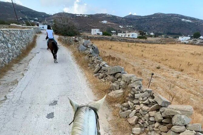 Awaken to Paros: A Scenic Morning Horseback Ride