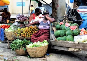 Montego Bay Shore Excursion: Montego Bay Highlights Heritage Tour