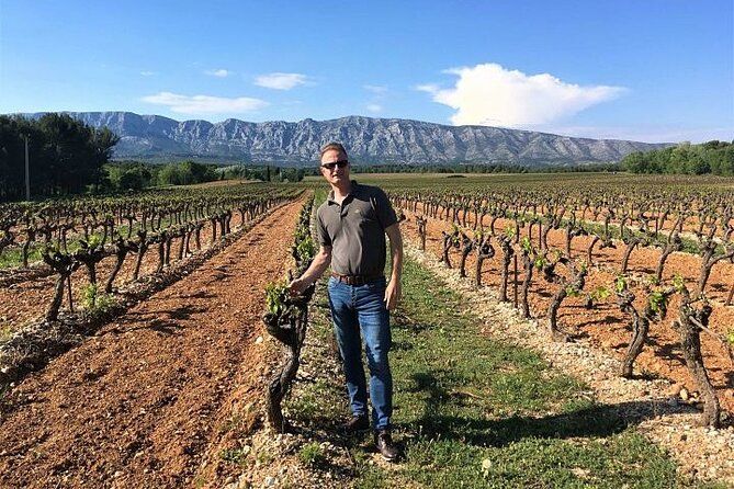 Half Day Wine Tour around Sainte Victoire from Aix en Provence