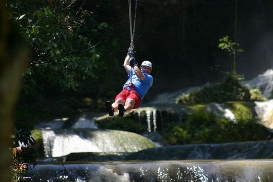 Appleton Estate Rum, YS Falls, Black River Safari / Floyd's Pelican Bar Tour