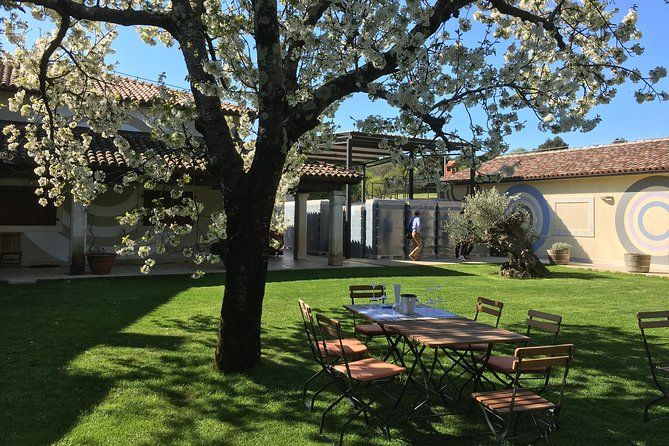 Istrian tapestry - gourmet tour combining wine, truffles and olive oil