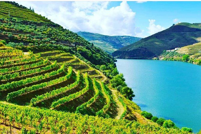 Private Douro Valley Food and Wine Tour From Porto