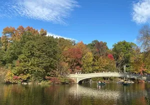 NYC Central Park Pedicab Tours