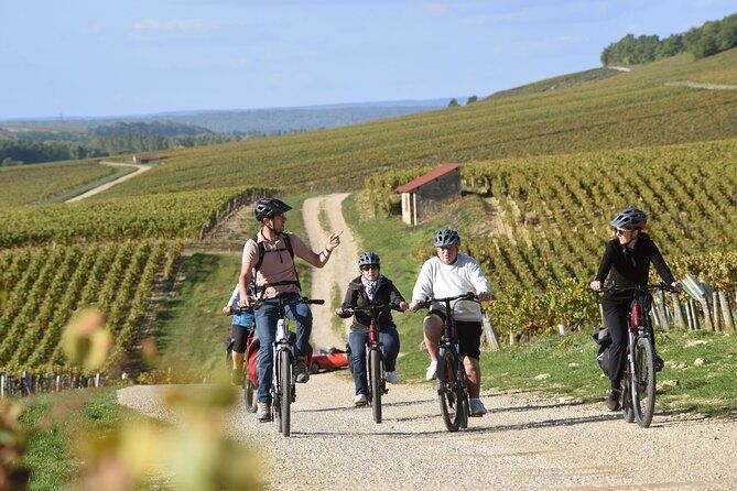 Guided tour of the Chablis Vineyards by e-bike