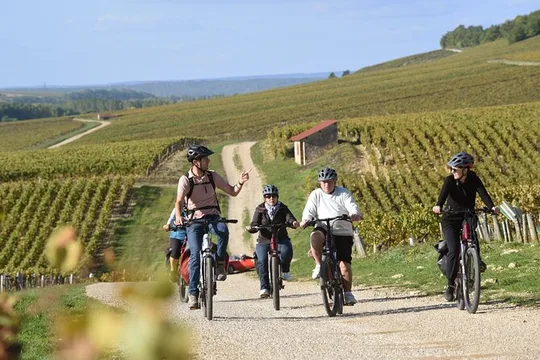Guided tour of the Chablis Vineyards by e-bike