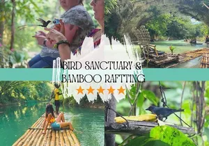 Bird Sanctuary and/or Lethe Bamboo Rafting from Montego Bay
