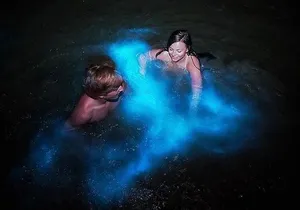 Mesmerizing Luminous Lagoon (Glistening Waters) Night Tour