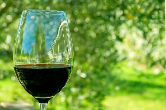 6 Hour Variety Wine Vineyard Tour in Napa Valley