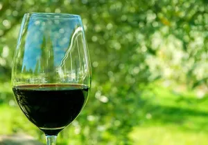 6 Hour Variety Wine Vineyard Tour in Napa Valley