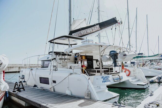 Funchal : Observation of dolphins and whales in a luxury catamaran