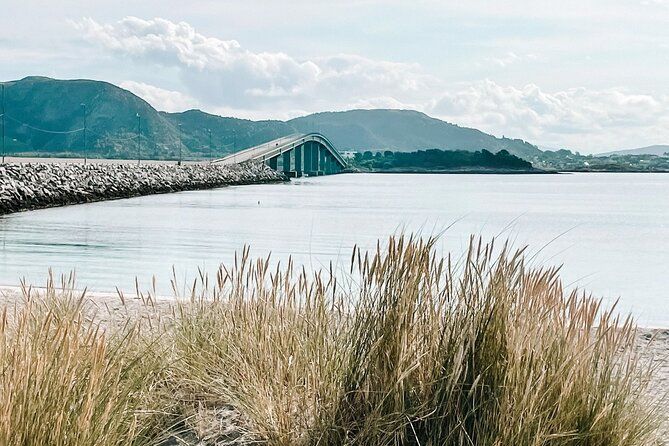 Shore Excursions Ålesund: Highlights Ålesund & Islands