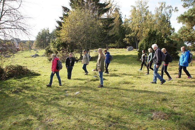 3-4h Viking History Short Day Tour from Stockholm