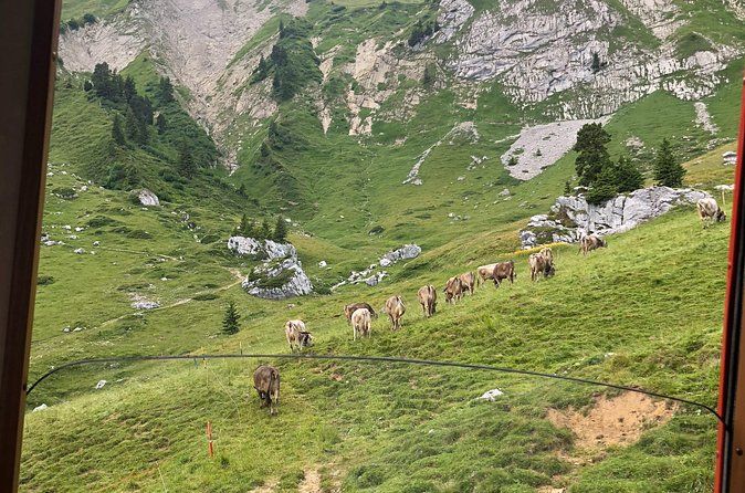 Mt. Pilatus & Lake Lucerne Cruise Private Tour | From Lucerne