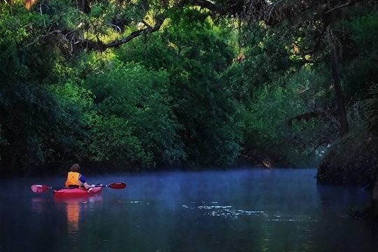 Orlando Alligator Experience