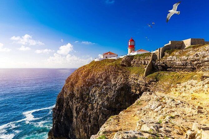 Private Lagos and Cabo de São Vicente Tour