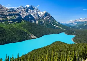 Best of Glaciers from Calgary/Canmore/Banff