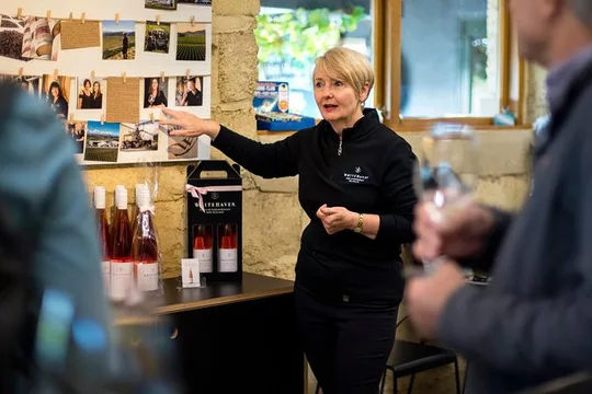 Full-Day Marlborough Scenic and Wine Tour from Picton