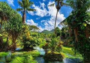 Rastafari Cultural ATV Community Experience from Montego Bay