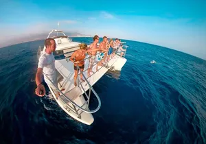 Whale and Dolphin Watching Catamaran with Transfer and Buffet