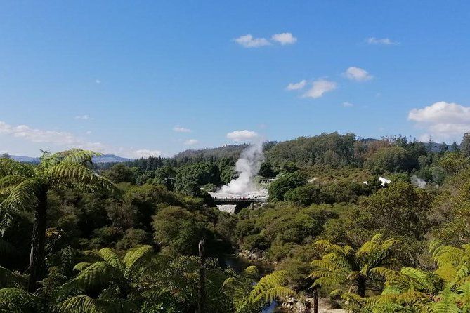 4Day/3Nights Auckland to Wellington Tour