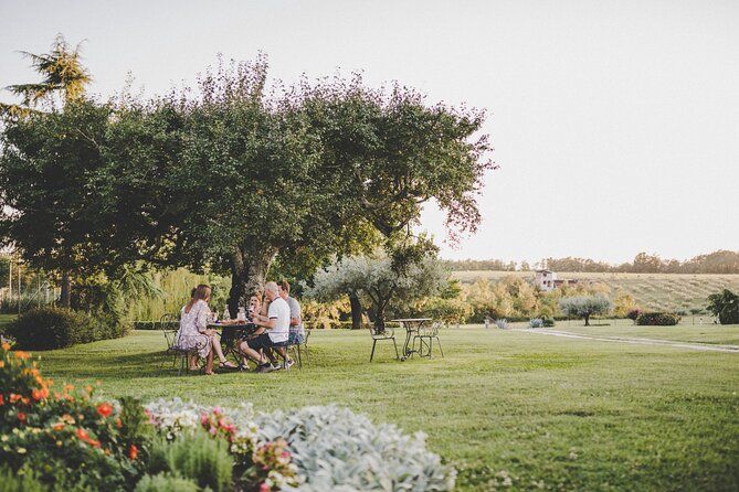 Buje: Authentic Istrian family farm, guided walk, foods & wine