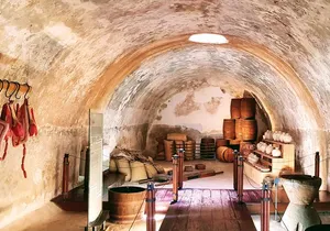 Historical Immersion 6Hrs San Diego Fort Museum Divers Lunch