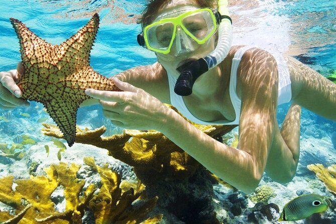 San Juan Guided Snorkeling Experience - With Transport 8am or 3pm