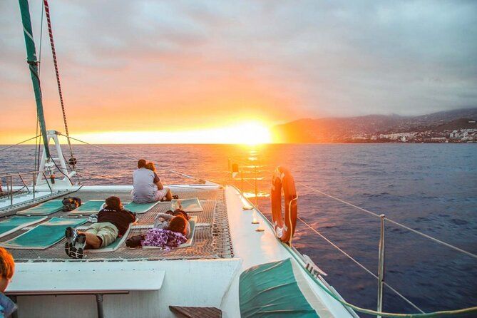Hop-on Hop-off Bus Tour and Catamaran Whale & Dolphin Watching