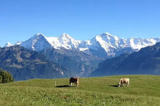Private Interlaken and Jungfrau Region tour from Lucerne or Berne