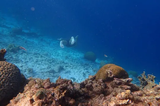 Snorkel marathon
