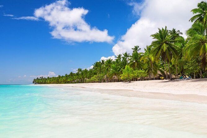 Saona Island Private Boat Tour with Lunch and Beverages