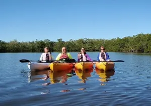 Half Day Kayak or SUP Rental (3hr) - Pelican Bay