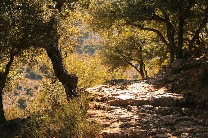 Road-trip to Lasithi, Zeus Cave, Vidiani, Krasi & Olive Mill Farm