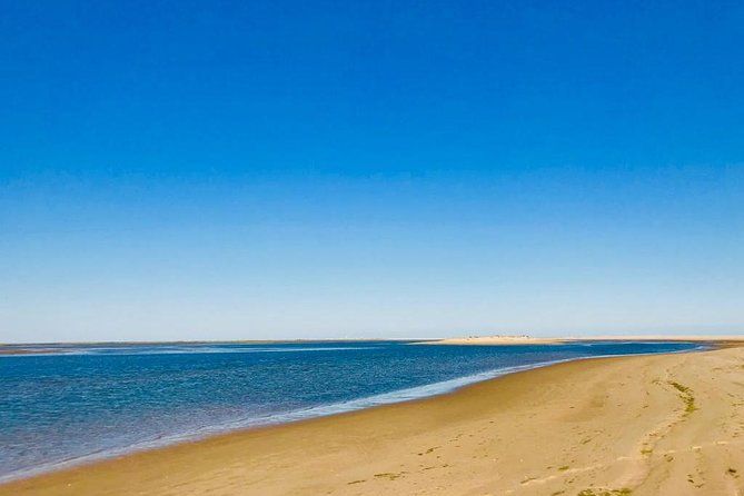 1 or 2 Hour Speed Boat Tour - Ria Formosa