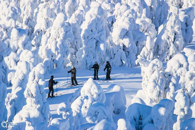 Cross Country Skiing Trip - Saariselkä