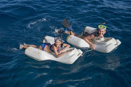 Four Winds Maui Afternoon Snorkel Tour to Coral Gardens