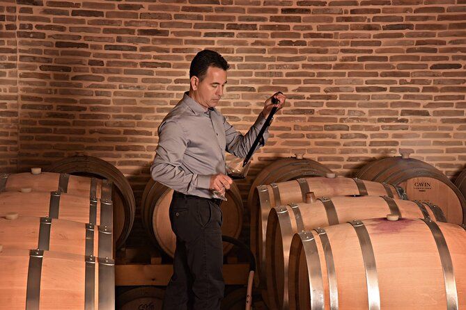 Corinth Winery Tour and Organic Fine Wine Tastings